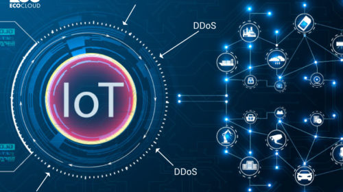 bao-ve-IoT-khoi-DDoS